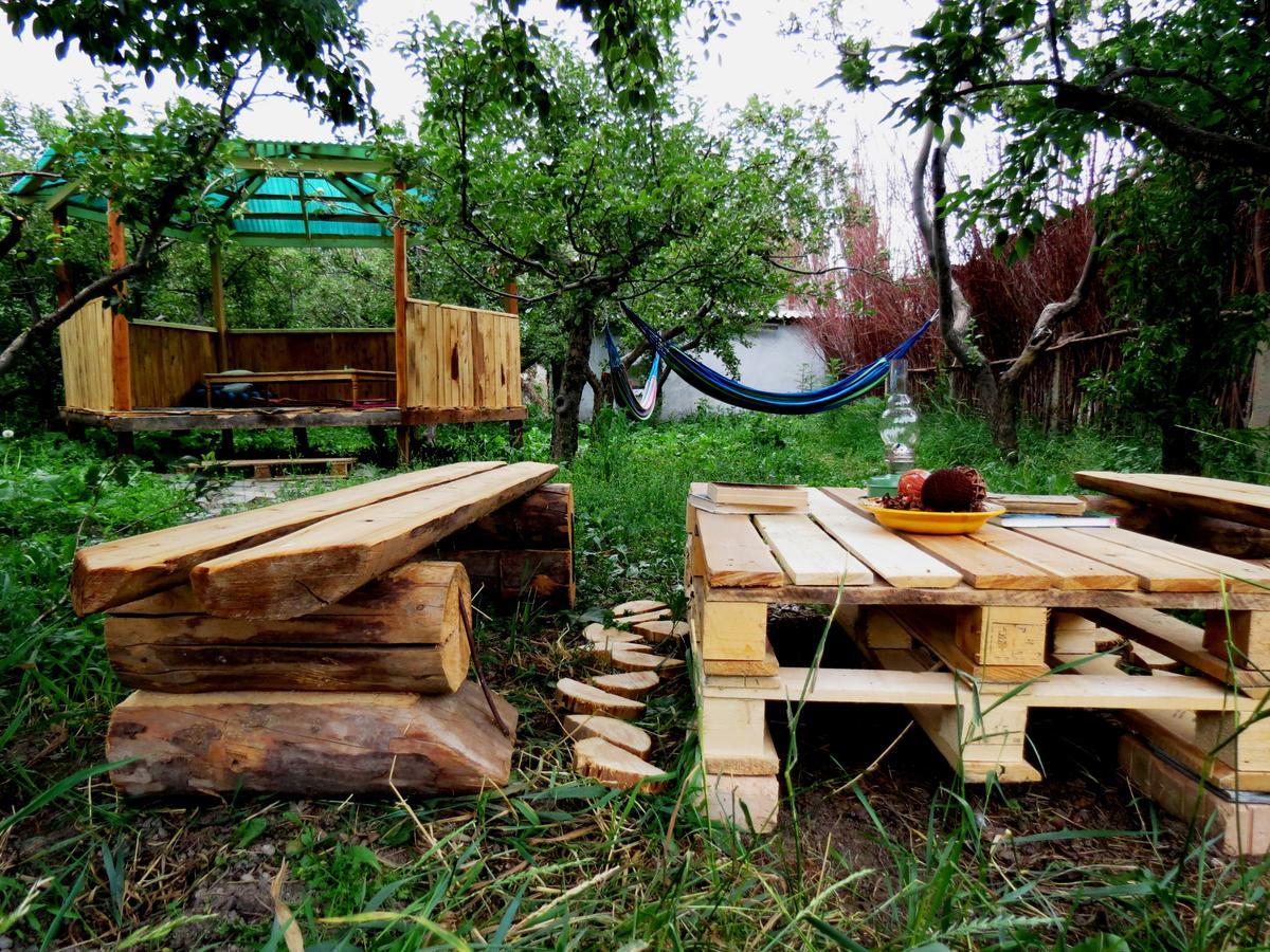 Auberge de jeunesse Interhouse Karakol Extérieur photo